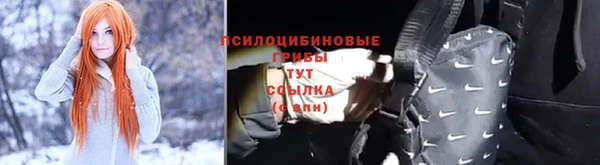 амф Магас