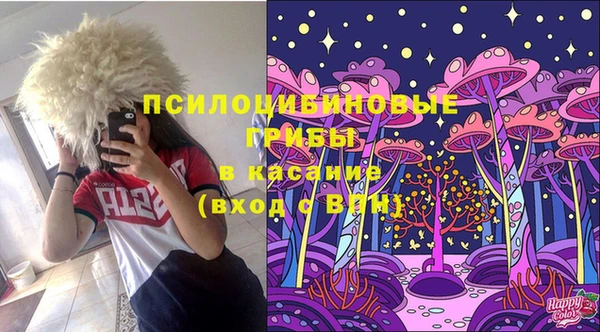 амф Магас