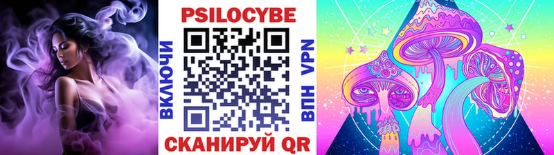 Псилоцибиновые грибы Psilocybine cubensis  Купить где  Якутск 